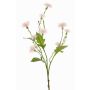 Fiore di campo artificiale HOLLA, rosa pallido, 55cm, Ø3-4cm