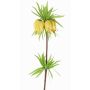 Fiore artificiale corona imperiale IMST, giallo, 65cm, Ø11cm