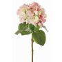 Fiore artificiale ortensia CHIDORI, crema-rosa, 60 cm, Ø 20 cm