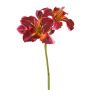 Fiore artificiale giglio NEULIDA con fiori, rosso bordeaux-arancione, 65 cm, Ø 11 cm