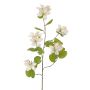 Ramo artificiale Bauhinia ENSANA, bianco, 120cm