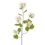 Ramo artificiale Bauhinia ENSANA, bianco, 120 cm