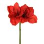 Amaryllis artificiale NARWELA, rosso, 70cm, Ø10-13cm