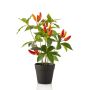 Pianta di peperoncino artificiale KIRKI con frutti, in vaso decorativo, rosso-arancio, 35 cm