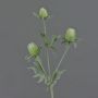 Eryngium artificiale SVEA, verde, 40cm, Ø2-3cm