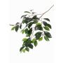 Ramo di ficus microcarpa sintetico BHAO, verde, 65cm