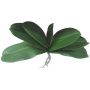Foglie di orchidea Phalaenopsis artificiali PRIMALA, radici aeree, 21x29 cm