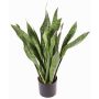 Sansevieria artificiale BEYZA, verde, 80cm