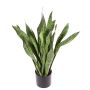 Sansevieria artificiale BEYZA, verde, 80cm