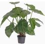 Pianta di singonio finta PERAMI, verde, 45cm