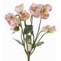 Rosa di Natale HALLA, 6 fiori, rosa, 30cm, Ø7cm