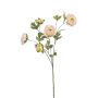 Ramo artificiale di ranuncoli DAVELLA, rosa-crema, 80cm