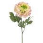 Ranuncolo artificiale ULISAN, rosa-verde, 60 cm, Ø 14 cm
