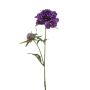 Ramo artificiale di scabiosa BASOLO, viola scuro, 55 cm