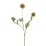 Ramo decorativo a stella Scabiosa RANIK, verde, 70 cm