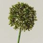 Allium artificiale HELLA, glitter, verde-dorato, 45cm