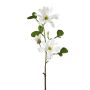 Ramo di fiori artificiali magnolia stellata BLOVI, crema, 60 cm