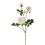 Ramo di fiori artificiali peonia KROVEL, crema, 75 cm