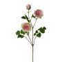 Ramo di fiori artificiali peonia KROVEL, verde-rosa, 75 cm