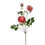Ramo di fiori artificiali peonia KROVEL, corallo, 75 cm