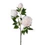 Ramo di fiori artificiali peonia CRUNT, bianco, 85 cm