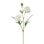 Ramo artificiale fiordaliso BLURKE, bianco, 70 cm