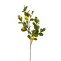 Ramo di limone artificiale DUNKAN con frutti, fiori, giallo, 95 cm