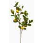 Ramo di limone artificiale DUNKAN con frutti, fiori, giallo, 95 cm
