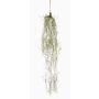 Succulenta artificiale Tillandsia usneoides sospesa TAMON, verde, 90cm