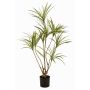 Albero artificiale Dracaena marginata SHALLU, tronchi artificiali, verde, 120 cm