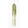 Pianta artificiale succulenta Hoya linearis pendente TAMON, verde, 90 cm