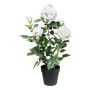 Fiore artificiale rosa FURHYN in vaso decorativo, bianco, 60 cm