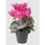 Ciclamino finto HEIDI in vaso decorativo, fucsia, 25cm, Ø5-8cm