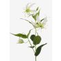 Gloriosa superba artificiale FUJITA, crema-verde, 80cm, Ø15cm