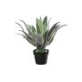 Agave americana artificiale KYANO, vaso decorativo, verde-crema, 55 cm