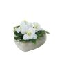 Composizione floreale artificiale di Orchidea Phalaenopsis, rosa DEON, vaso decorativo, bianco, 11cm, Ø18cm