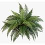 Felce florida artificiale AARON su stelo, verde, 50cm, Ø65cm