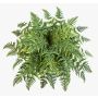Felce athyrium artificiale RENE su stelo, verde, 75cm, Ø90cm
