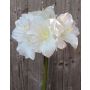 Amaryllis artificiale DAGGI, bianco, 70cm, Ø11-18cm