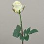 Rosa artificiale SAPINA, crema-albicocca, 60cm, Ø6cm