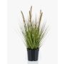 Erba di pennisetum artificiale YWAIN con pannocchie, beige-verde, 45cm