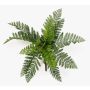 Pianta artificiale felce femmina FRIGAL su bastone, difficilmente infiammabile, verde, 25 cm