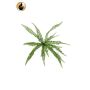 Pianta artificiale felce bottonata GOLMER su supporto, difficilmente infiammabile, verde, 40 cm