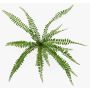 Pianta artificiale felce bottonata GOLMER su supporto, difficilmente infiammabile, verde, 40 cm