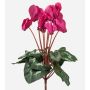 Piante artificiali ciclamino VERIANA su bastoncino, rosa, 30 cm