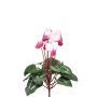 Vincapervina artificiale VERIANA su bastoncino, bianco-rosa, 30 cm