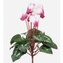 Vincapervina artificiale VERIANA su bastoncino, bianco-rosa, 30 cm