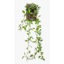 Pianta artificiale pendente pepe nano SAELFES su bastone, verde-bianco, 85 cm