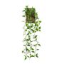 Pianta artificiale pendente filodendro scandens SAELFES su bastone, 85 cm