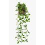 Pianta artificiale pendente filodendro scandens SAELFES su bastone, 85 cm